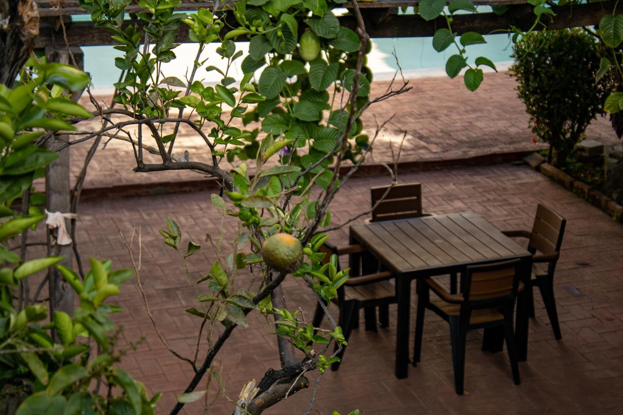 Volcano Hostal Y Restaurante San Salvador Eksteriør bilde